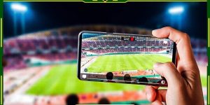 Khái quát chung nhất về kênh vạch vôi TV